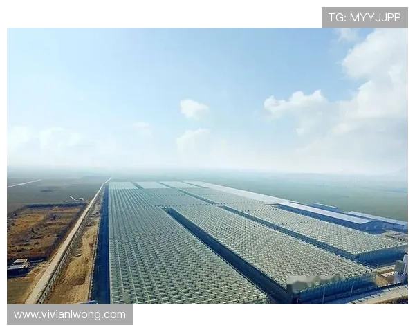 凯发集团的管理模式与企业运营效率提升路径