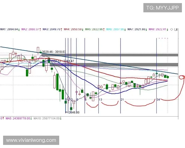 凯发滚球盘的赔率设置与市场动态分析详解