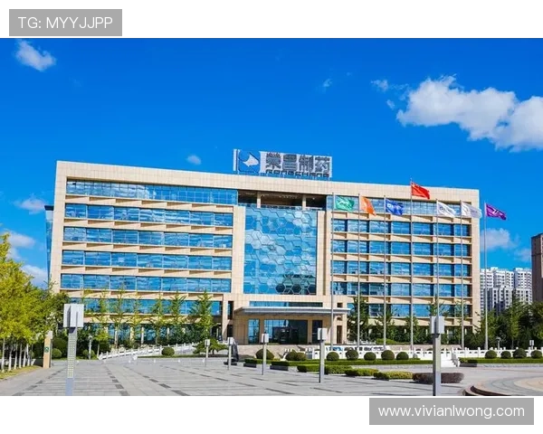 凯发集团官网安全保障措施解析,保障玩家资金与个人信息安全 凯发集团官网安全保障措施解析,保障玩家资金与个人信息安全